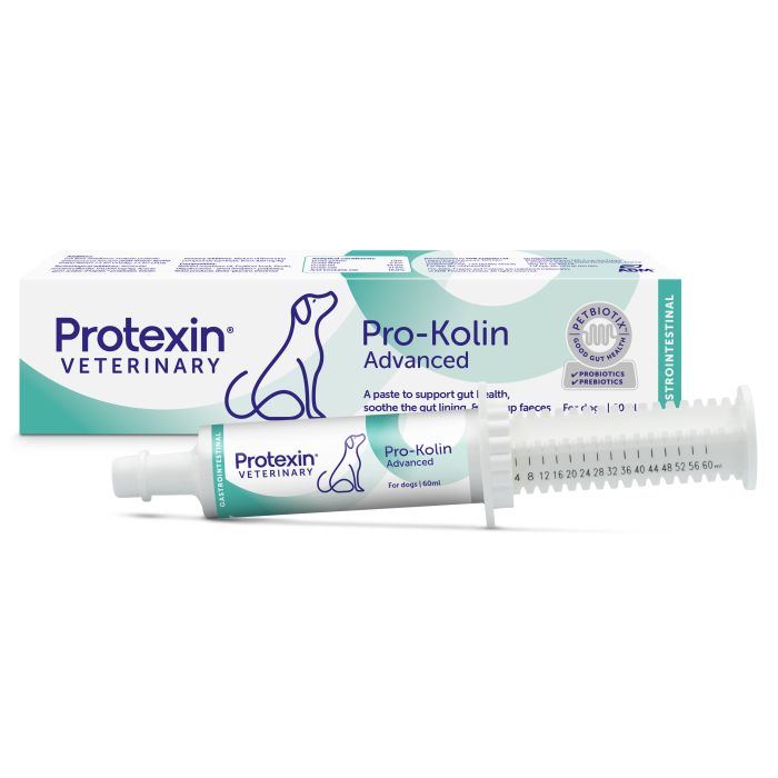 Pro-Kolin Advanced koira 60 ml kuva 2