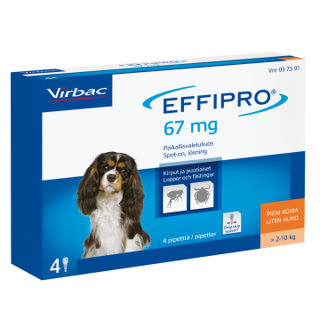 EFFIPRO paikallisvaleluliuos 100 mg/ml Pipetti 4 x 0.67 ml